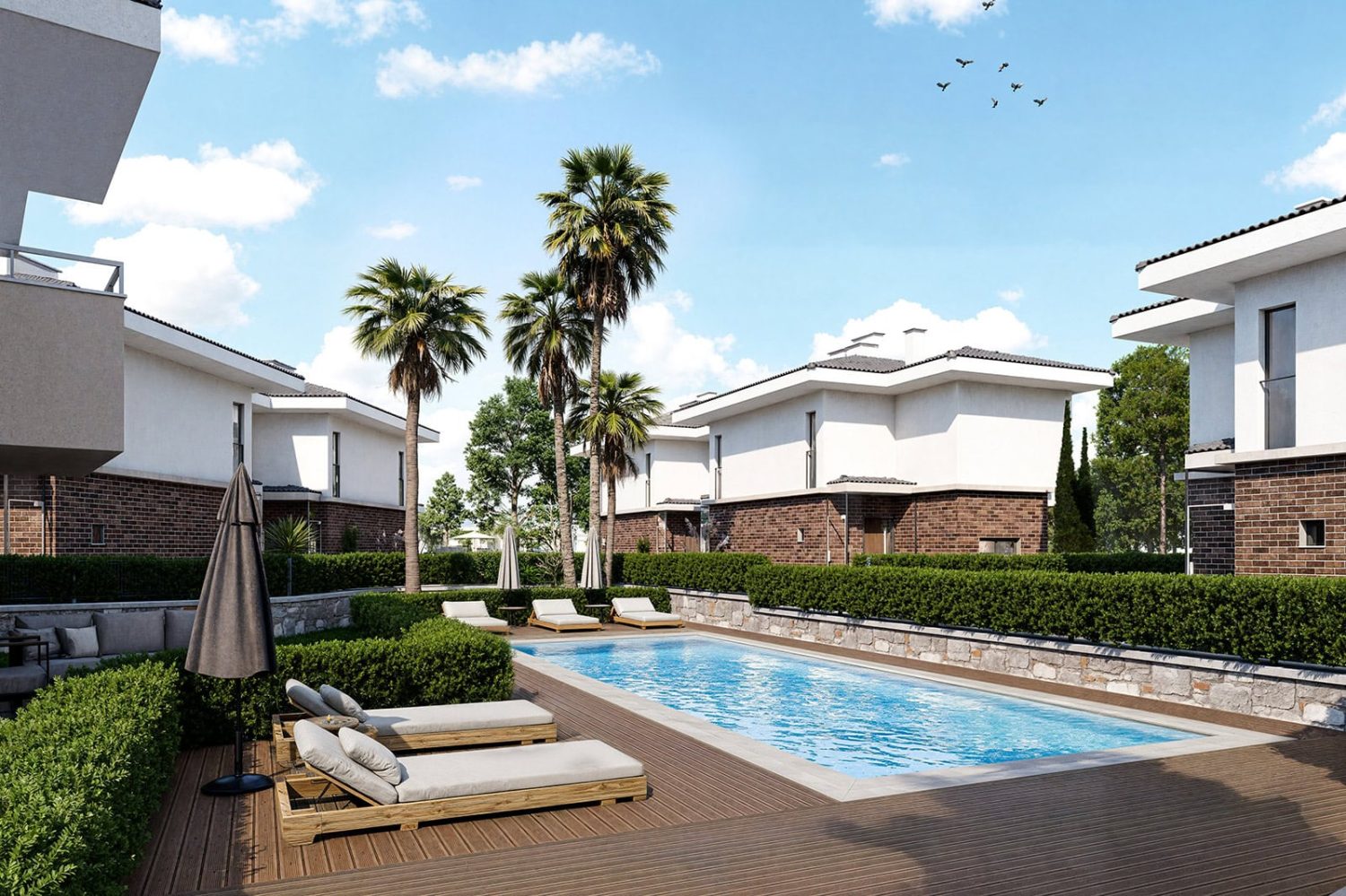 saygin-trend-nergis (9)